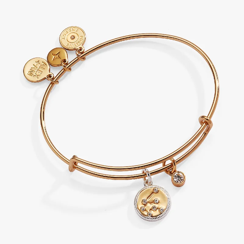 Aquarius Zodiac Charm Bangle