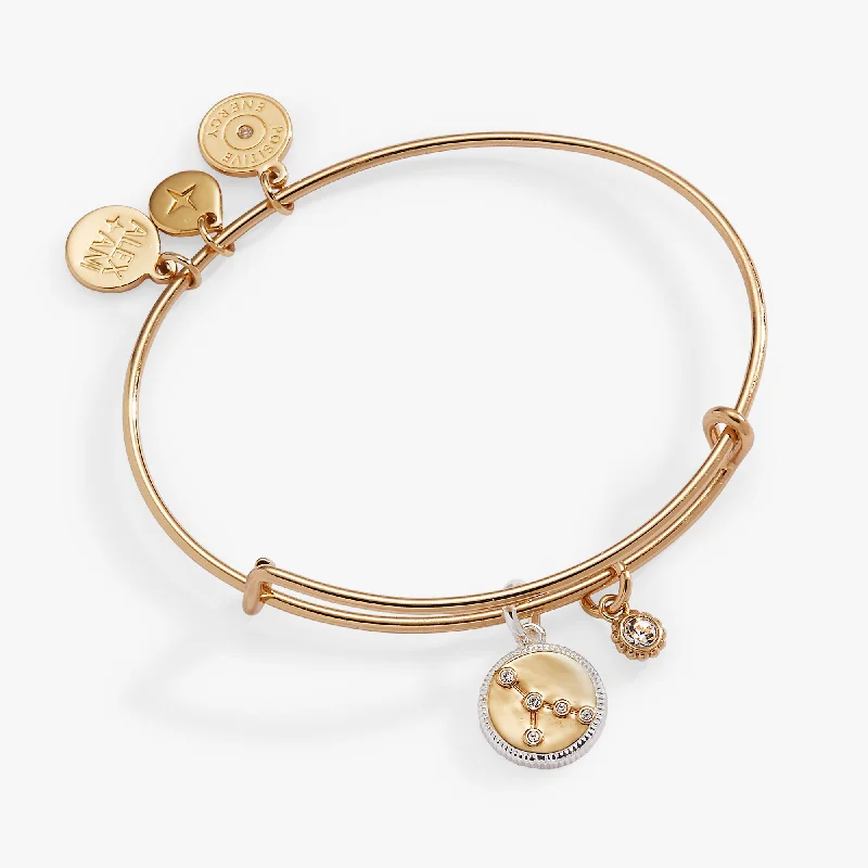 Cancer Zodiac Charm Bangle