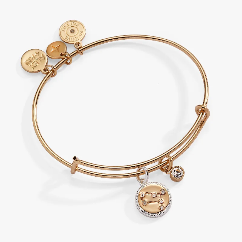 Gemini Zodiac Charm Bangle