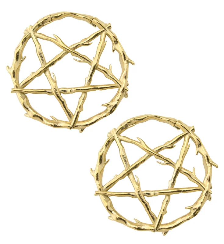 Gold PVD Pentagram Thorn Hinged Ear Weights